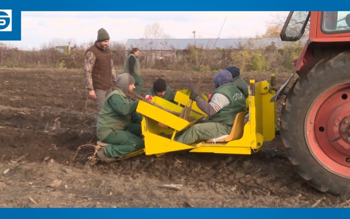 Embedded thumbnail for DSTV: tart a faültetés