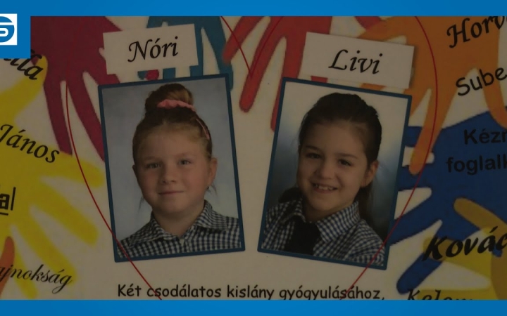 Embedded thumbnail for A közösség erejével segítettek a Móriczban (galériával)