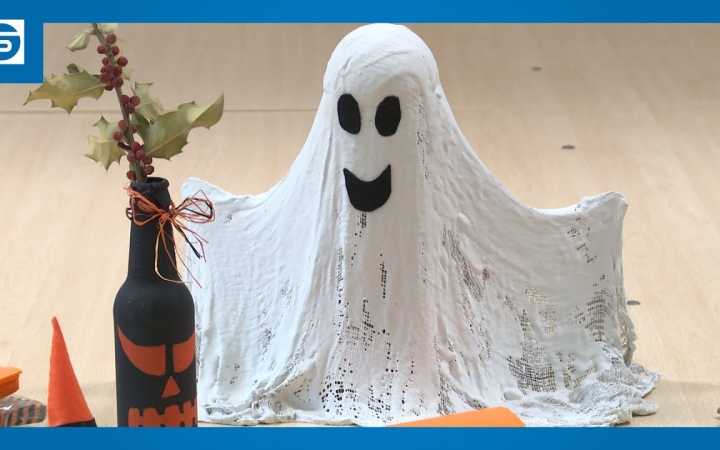 Embedded thumbnail for DSTV: boszitábor az MMK ban