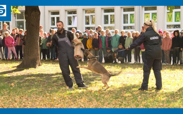 Embedded thumbnail for DSTV: együtt ünnepelték az állatok világnapját