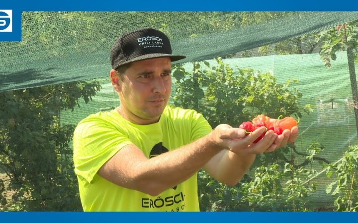 Embedded thumbnail for DSTV: erőnek erejével