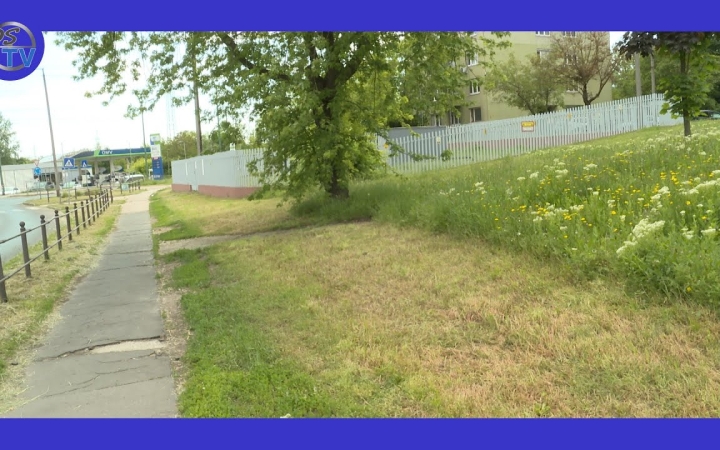 Embedded thumbnail for Vadvirágos rétek, szigetek a még zöldebb városért