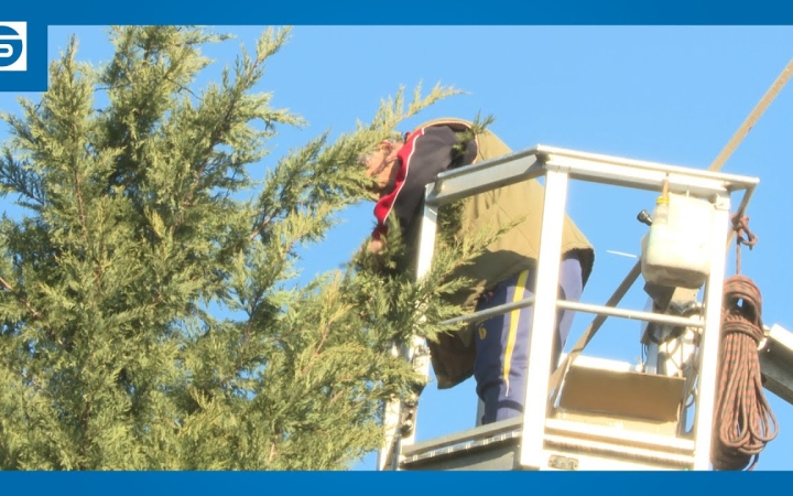 Embedded thumbnail for DSTV: díszbe öltözik Újtelep karácsonyfája (is)