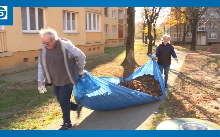 Embedded thumbnail for Közösségi falevélszedés: sikeres volt az első nekifutás (galériával)