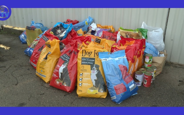 Embedded thumbnail for Idén se petárdázz, vegyél inkább kutyatápot!