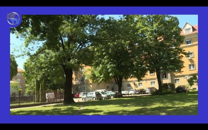 Embedded thumbnail for Digitális fakataszter készül a városban – az első lépés a belvárosi fák felmérése