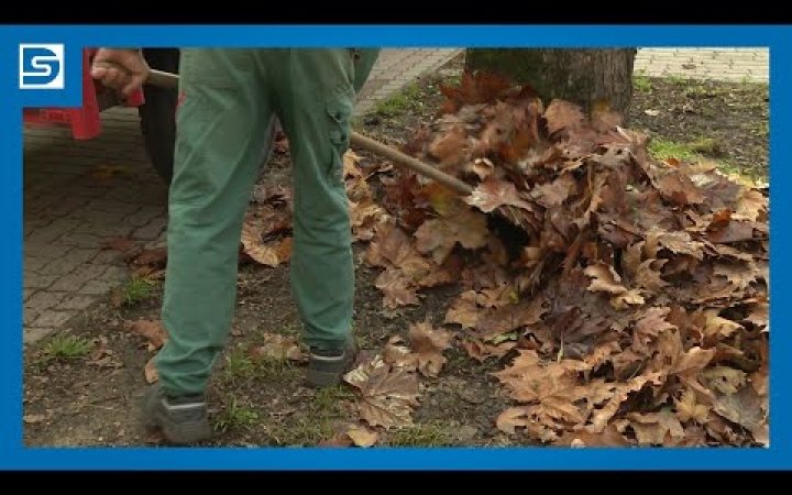 Embedded thumbnail for Közeledik az ősz, a legnagyobb feladat a lombgyűjtés lesz