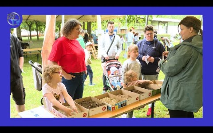 Embedded thumbnail for Szemléletformáló ÖKO-nap – színes kínálat, nem csak gyerekeknek a Szalki-szigeten