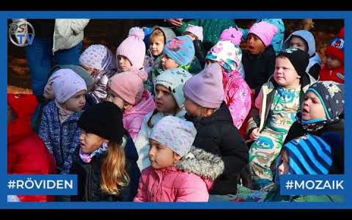 Embedded thumbnail for DSTV: látványos madárbemutató az Aprók Házában (galériával)