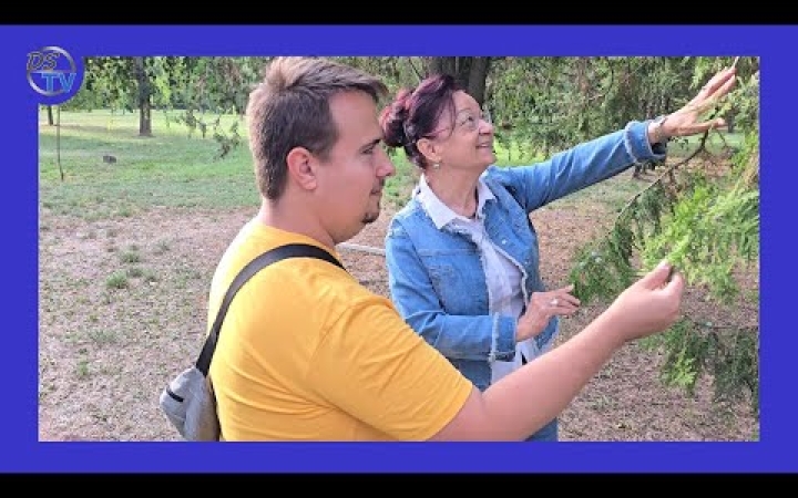 Embedded thumbnail for DSTV: folytatódik a fotópályázat