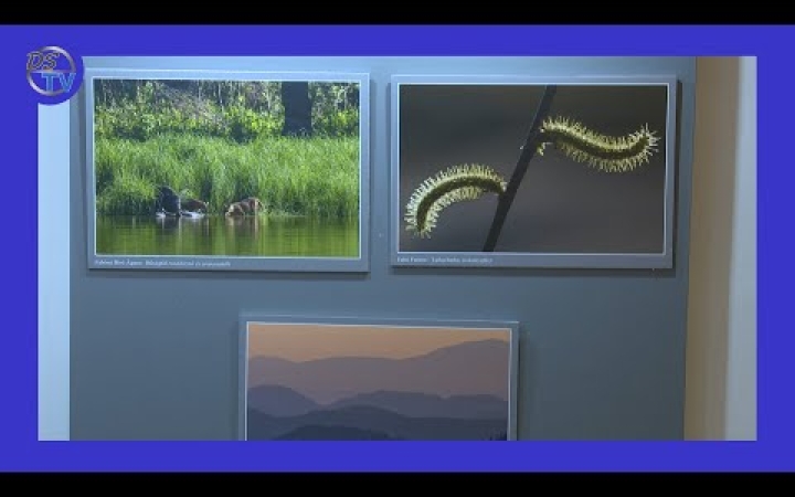 Embedded thumbnail for DSTV: ezer szín a Bartók aulájában