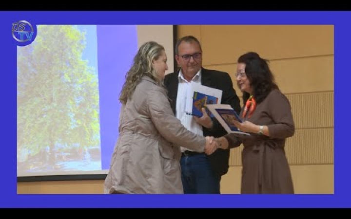 Embedded thumbnail for DSTV: a város fái – nyári fotókon