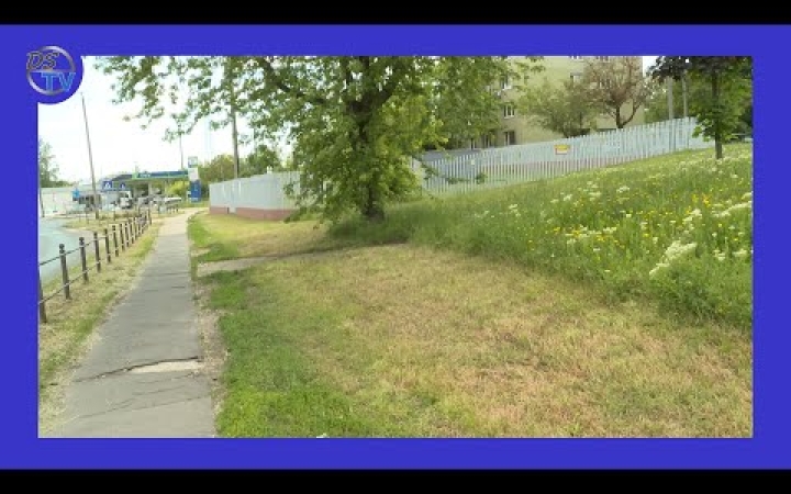 Embedded thumbnail for Vadvirágos rétek, szigetek a még zöldebb városért
