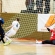 Dunaferr Due Renalpin FC- Veszprém 4-2 - fotó: Ónodi Zoltán