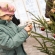 Karácsonyfa díszítés - fotó: Ónodi Zoltán