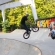 Roller Park Jam (2025) - fotó: 